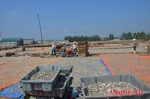Ngút mắt