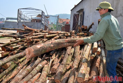 Ngút mắt