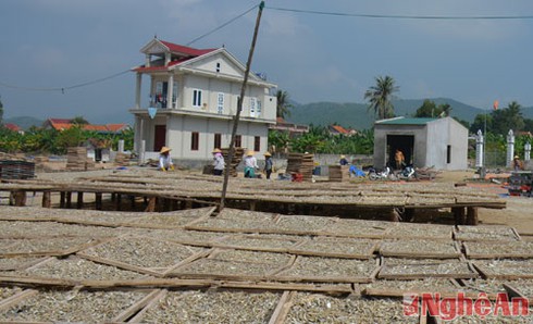 Ngút mắt