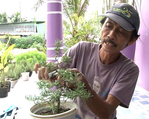 Lạ: Cây túi thơm hút khách - ảnh 1