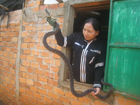 Những nghề