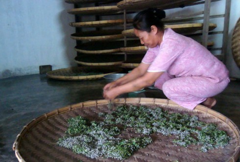 Cấm nuôi
