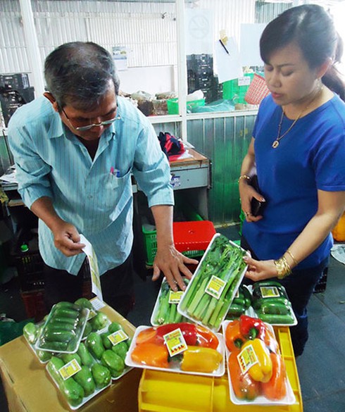 Mốt trồng rau quả