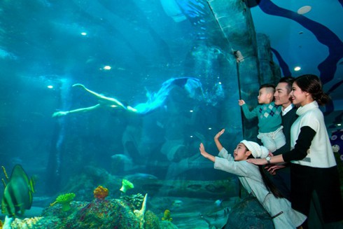 Tết này người Hà Nội đi chơi ở đâu? - ảnh 6