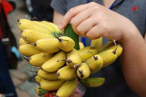 Làng chuối tiến vua dịp Tết