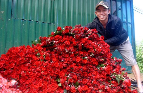 Giá hoa hồng tăng vọt - ảnh 1