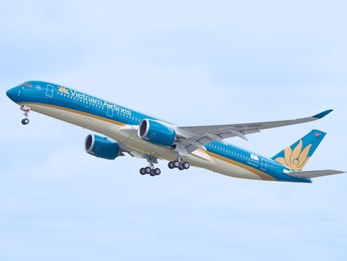 Chưa yêu cầu Vietnam Airlines dừng các chuyến bay đi Pháp - ảnh 1