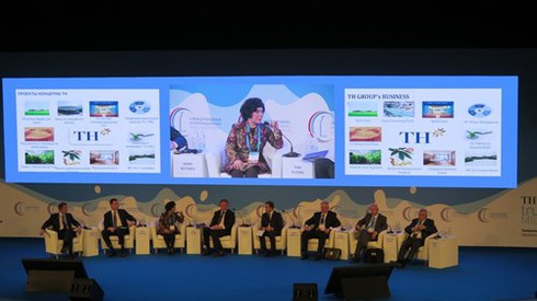 Từ cánh đồng hướng dương xứ Nghệ - ảnh 4