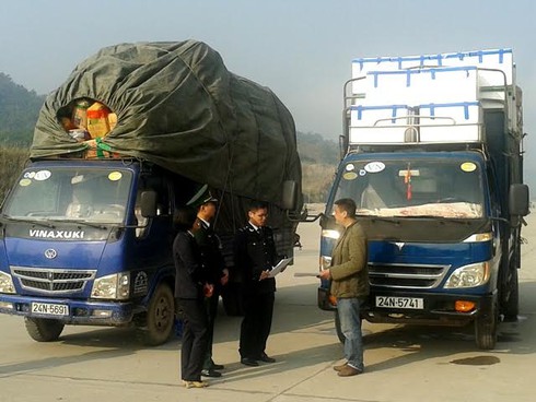 Xuất khẩu tấn trái cây và tôm hùm đầu tiên trong năm mới qua cửa khẩu Lào Cai - ảnh 2