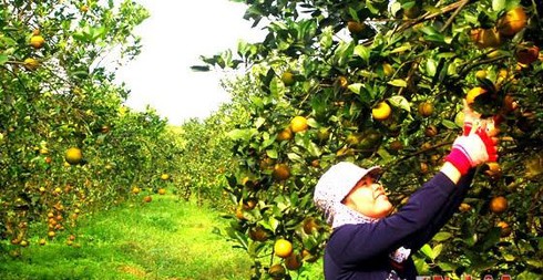 Shop TIN ngày 16/2: Lòng người Việt Nam nào đâu thích gì bom đạn - ảnh 15