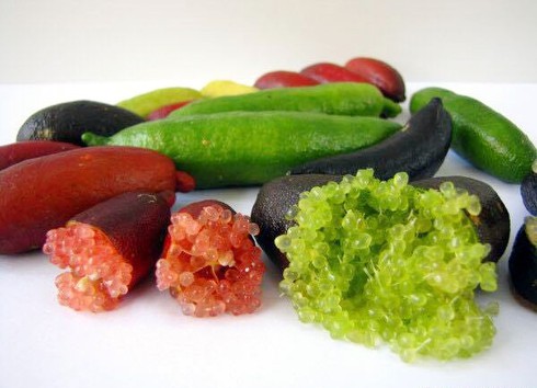 Siêu lạ: Quả chanh ngón tay bạc triệu mỗi cân mê hoặc nhà giàu Việt - ảnh 1