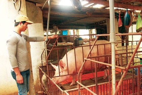 Chăn nuôi “độc, lạ