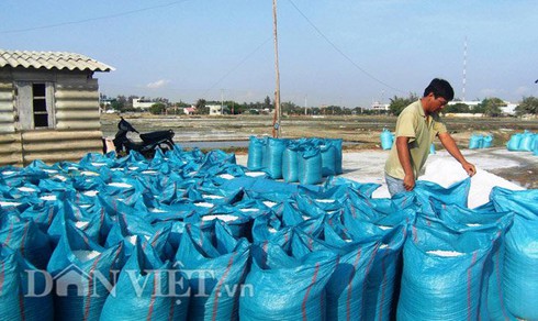 Tạ muối không mua nổi bát phở, gà đeo kính... thu bạc tỷ - ảnh 1