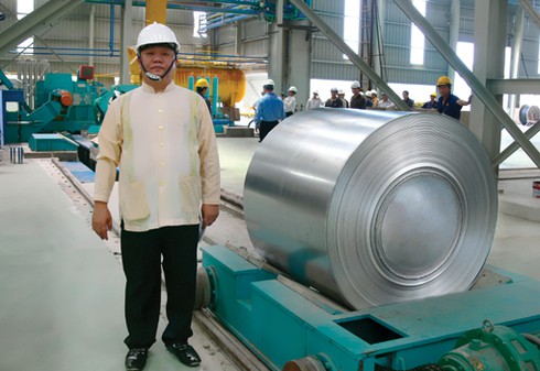 Vội vã bổ sung siêu dự án thép Cà Ná để làm gì? - ảnh 1