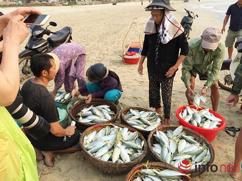 Mới nhất về Miền Trung: Nước biển an toàn, không phát hiện xyanua trong hải sản - ảnh 1