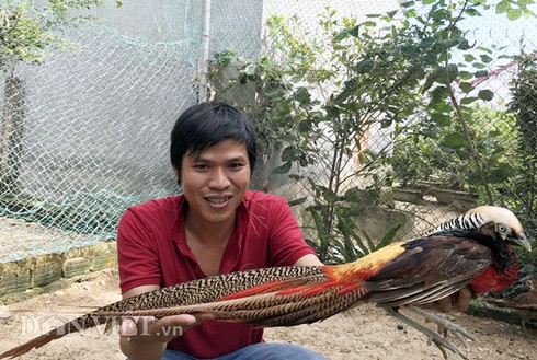 Vật nuôi cảnh