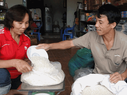 Tạo thuận lợi cho sản xuất, gia công thực phẩm xuất khẩu - ảnh 1