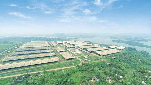 Chính phủ thống nhất mở rộng hạn điền, tích tụ ruộng đất - ảnh 1