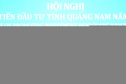 Thủ tướng kêu gọi “sếu lớn” đến Quảng Nam - ảnh 1