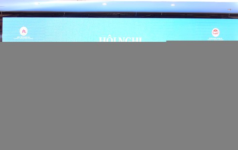 Thủ tướng kêu gọi “sếu lớn” đến Quảng Nam - ảnh 2