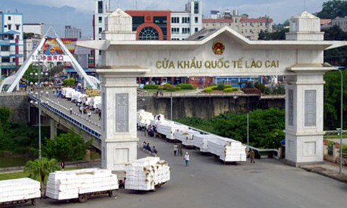 Cua dài 1 mét, giá chục triệu mỗi con