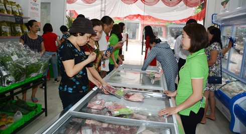 Rửa chân cho gà ngàn đô, tam thất giá trăm triệu, lợn thảo dược gây tò mò - ảnh 4