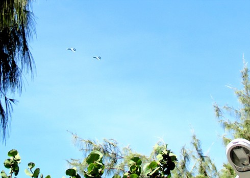 Xem máy bay SU-30 bay đêm, tuần tra Trường Sa - ảnh 16