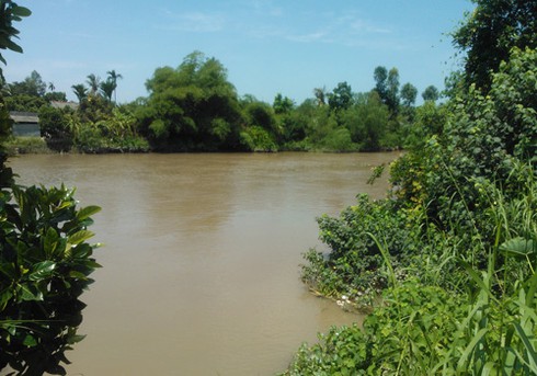 Nghệ sĩ Kim Tử Long bị bắt khi đang trên chiếu bạc - ảnh 2