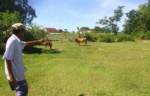 Ly kỳ chuyện người đào được tượng vàng thần Siva - ảnh 2