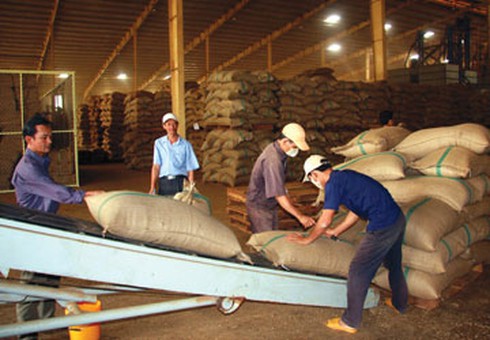 Nợ đọng thuế gần 65.000 tỉ đồng - ảnh 1