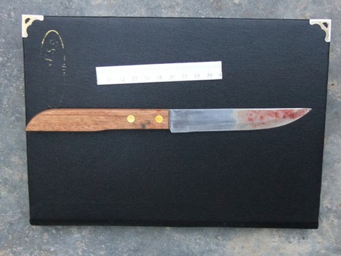 Nghịch tử dùng dao đâm chết mẹ - ảnh 1