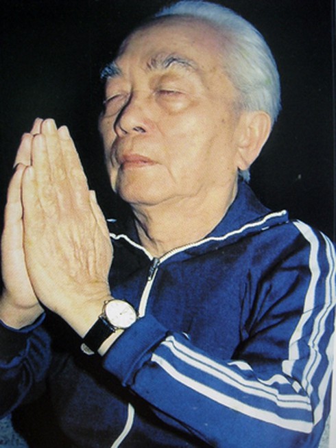 Đại tướng Võ Nguyên Giáp qua ảnh - ảnh 27