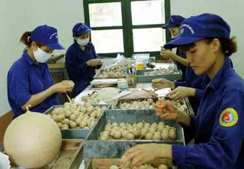 Tin mới nhất về vụ nổ nhà máy pháo hoa tại Thanh Ba - Phú Thọ [cập nhật] - ảnh 30