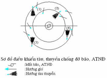Cách tránh trú bão Haiyan (bão số 14) an toàn nhất - ảnh 3