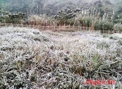 Nghệ An bất ngờ có tuyết do không khí lạnh - ảnh 1