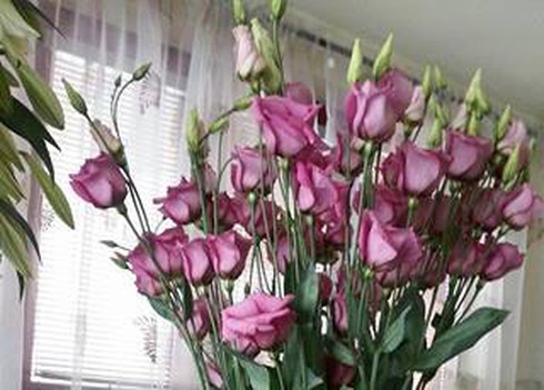 Không khí đón giao thừa Giáp Ngọ 2014 - ảnh 40