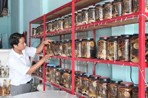 Tìm dương dược giúp