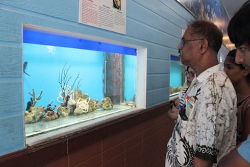 Tìm dương dược giúp