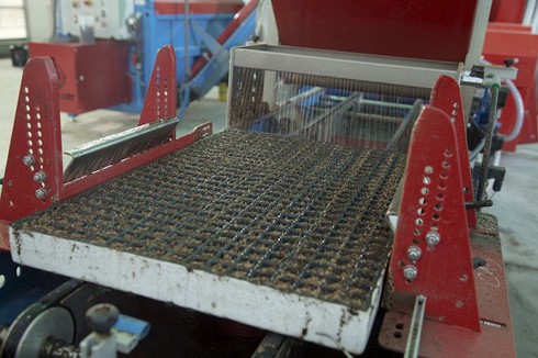 “Mục sở thị” công nghệ nông nghiệp đỉnh cao của Israel tại VinEco - ảnh 2