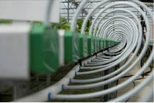 “Mục sở thị” công nghệ nông nghiệp đỉnh cao của Israel tại VinEco - ảnh 7