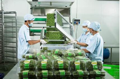 “Mục sở thị” công nghệ nông nghiệp đỉnh cao của Israel tại VinEco - ảnh 9