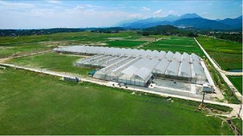 “Mục sở thị” công nghệ nông nghiệp đỉnh cao của Israel tại VinEco - ảnh 10