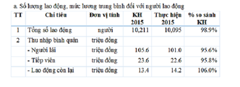 Lương trung bình phi công VietnamAirlines 1,2 tỷ mỗi năm - ảnh 1