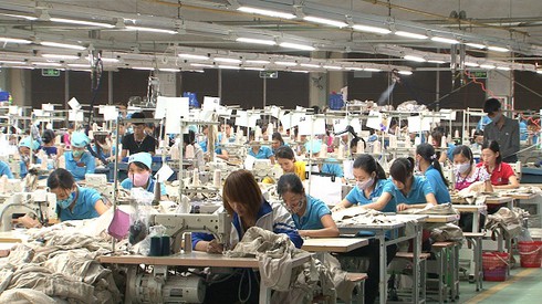 Xuất khẩu dệt may ngắc ngoải vì... ổn định tỷ giá - ảnh 1