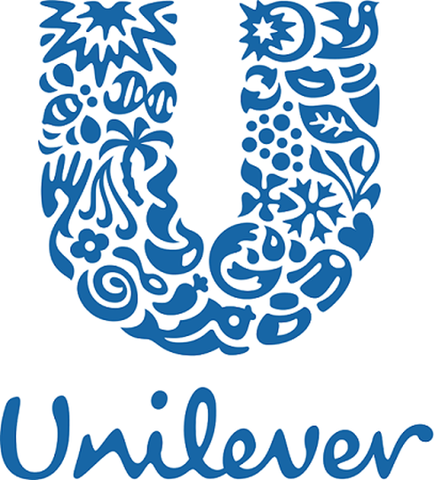 Unilever Việt Nam bị truy thu vì khai sai thuế TNDN - ảnh 1
