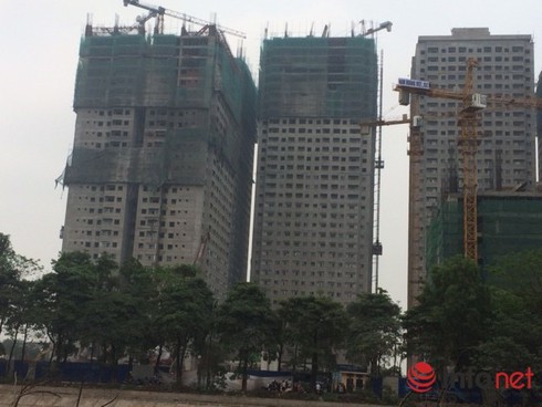 Đắt hàng như tôm tươi, chung cư giá 1 tỷ đồng vẫn khan hiếm - ảnh 1