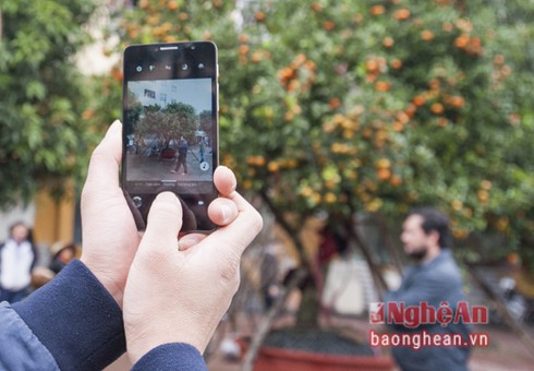 Quýt cổ thụ hơn 150 triệu đồng 'đổ bộ' thị trường Tết - ảnh 7