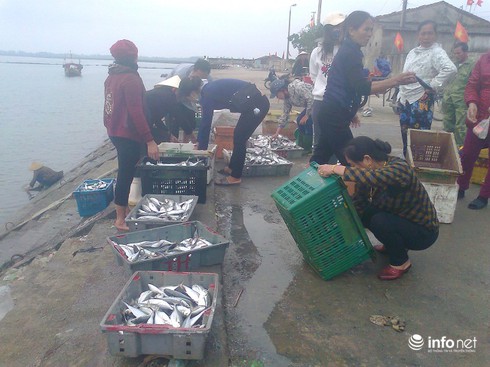 Ngư dân cảng Cửa Sót trúng đậm