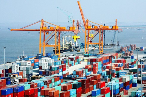 Phó Thủ tướng yêu cầu rà soát mức thu phí cảng biển Hải Phòng bảo đảm phù hợp - ảnh 1