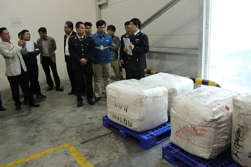 Hơn 300 kg vảy tê tê